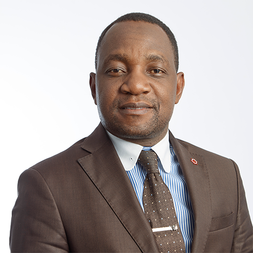 Mr Roy Mnisi